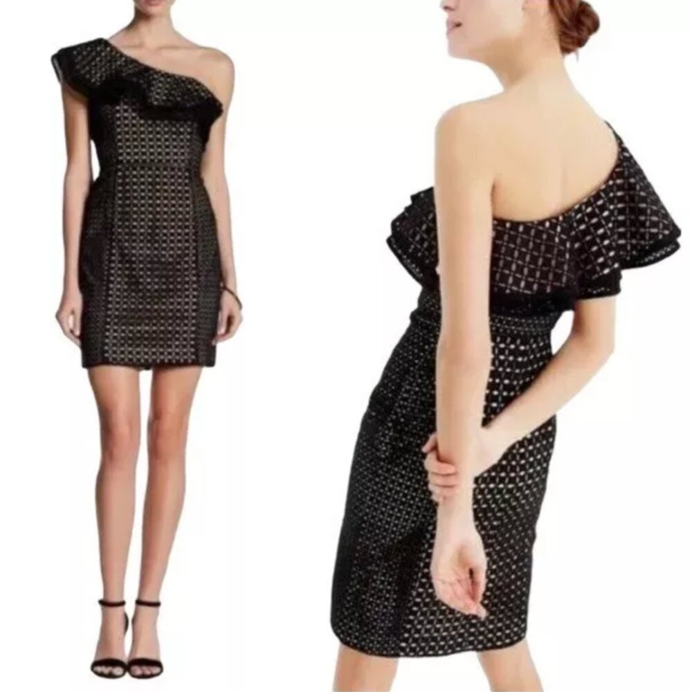 J. Crew Collection One-Shoulder Ruffle Dress In Eyelet Size 2